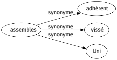 Synonyme de Assembles : Adhèrent Vissé Uni 