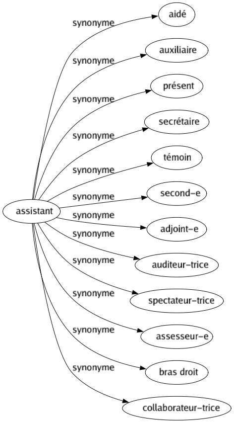 Synonyme de Assistant : Aidé Auxiliaire Présent Secrétaire Témoin Second-e Adjoint-e Auditeur-trice Spectateur-trice Assesseur-e Bras droit Collaborateur-trice 