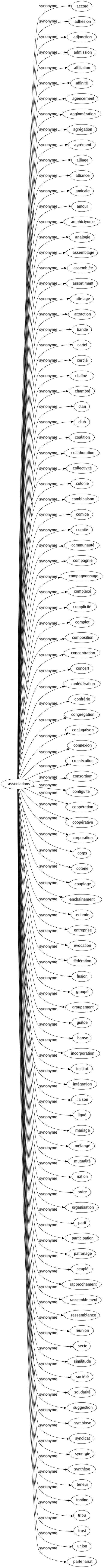 Synonyme de Associations : Accord Adhésion Adjonction Admission Affiliation Affinité Agencement Agglomération Agrégation Agrément Alliage Alliance Amicale Amour Amphictyonie Analogie Assemblage Assemblée Assortiment Attelage Attraction Bandé Cartel Cerclé Chaîné Chambré Clan Club Coalition Collaboration Collectivité Colonie Combinaison Comice Comité Communauté Compagnie Compagnonnage Complexé Complicité Complot Composition Concentration Concert Confédération Confrérie Congrégation Conjugaison Connexion Consécution Consortium Contiguïté Coopération Coopérative Corporation Corps Coterie Couplage Enchaînement Entente Entreprise Évocation Fédération Fusion Groupé Groupement Guilde Hanse Incorporation Institut Intégration Liaison Ligué Mariage Mélangé Mutualité Nation Ordre Organisation Parti Participation Patronage Peuplé Rapprochement Rassemblement Ressemblance Réunion Secte Similitude Société Solidarité Suggestion Symbiose Syndicat Synergie Synthèse Teneur Tontine Tribu Trust Union Partenariat 
