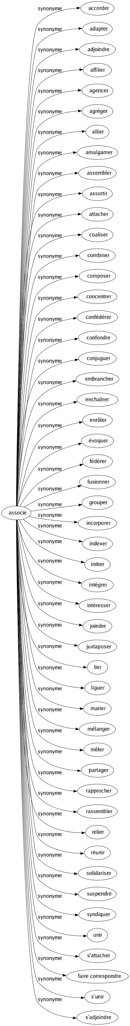 Synonyme de Associe : Accorder Adapter Adjoindre Affilier Agencer Agréger Allier Amalgamer Assembler Assortir Attacher Coaliser Combiner Composer Concentrer Confédérer Confondre Conjuguer Embrancher Enchaîner Enrôler Évoquer Fédérer Fusionner Grouper Incorporer Indexer Initier Intégrer Intéresser Joindre Juxtaposer Lier Liguer Marier Mélanger Mêler Partager Rapprocher Rassembler Relier Réunir Solidariser Suspendre Syndiquer Unir S'attacher Faire correspondre S'unir S'adjoindre 