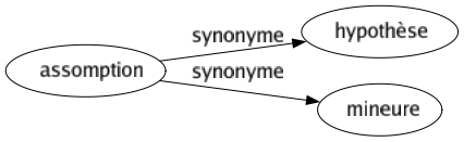 Synonyme de Assomption : Hypothèse Mineure 