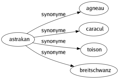 Synonyme de Astrakan : Agneau Caracul Toison Breitschwanz 