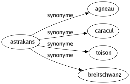 Synonyme de Astrakans : Agneau Caracul Toison Breitschwanz 