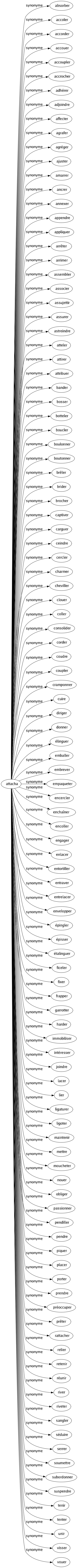 Synonyme de Attacha : Absorber Accoler Accorder Accouer Accoupler Accrocher Adhérer Adjoindre Affecter Agrafer Agréger Ajuster Amarrer Ancrer Annexer Appendre Appliquer Arrêter Arrimer Assembler Associer Assujettir Assurer Astreindre Atteler Attirer Attribuer Bander Bosser Botteler Boucler Boulonner Boutonner Brêler Brider Brocher Captiver Carguer Ceindre Cercler Charmer Cheviller Clouer Coller Consolider Corder Coudre Coupler Cramponner Cuire Diriger Donner Élinguer Emballer Embrever Empaqueter Encercler Enchaîner Encoller Engager Enlacer Entortiller Entraver Entrelacer Envelopper Épingler Épisser Étalinguer Ficeler Fixer Frapper Garrotter Harder Immobiliser Intéresser Joindre Lacer Lier Ligaturer Ligoter Maintenir Mettre Moucheter Nouer Obliger Passionner Pendiller Pendre Piquer Placer Porter Prendre Préoccuper Prêter Rattacher Relier Retenir Réunir River Riveter Sangler Séduire Serrer Soumettre Subordonner Suspendre Tenir Tenter Unir Visser Vouer 