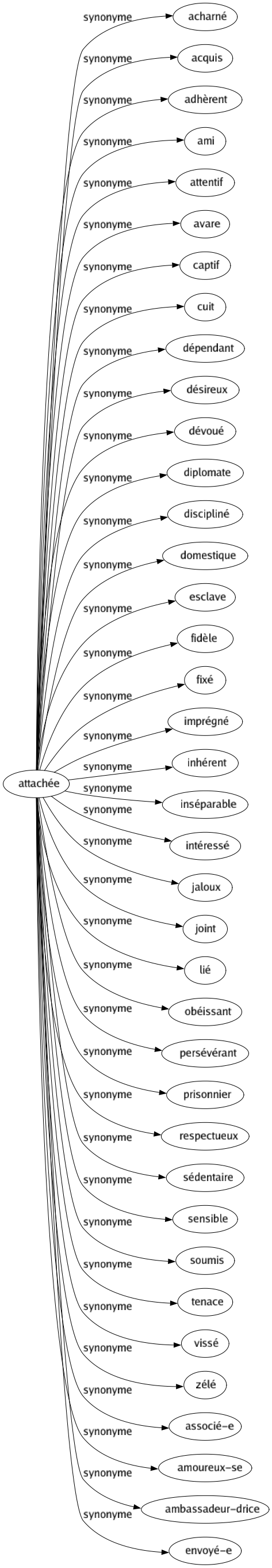 Synonyme de Attachée : Acharné Acquis Adhèrent Ami Attentif Avare Captif Cuit Dépendant Désireux Dévoué Diplomate Discipliné Domestique Esclave Fidèle Fixé Imprégné Inhérent Inséparable Intéressé Jaloux Joint Lié Obéissant Persévérant Prisonnier Respectueux Sédentaire Sensible Soumis Tenace Vissé Zélé Associé-e Amoureux-se Ambassadeur-drice Envoyé-e 