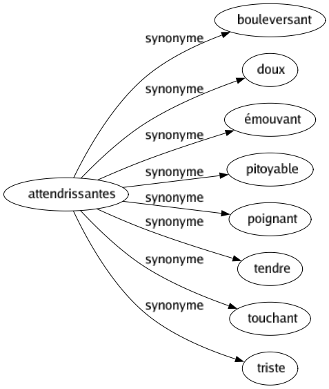 Synonyme de Attendrissantes : Bouleversant Doux Émouvant Pitoyable Poignant Tendre Touchant Triste 