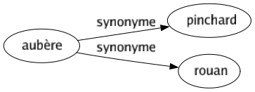 Synonyme de Aubère : Pinchard Rouan 