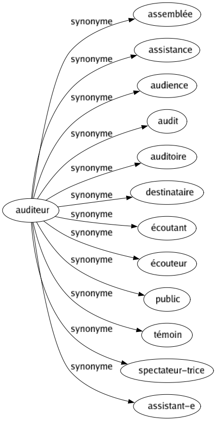 Synonyme de Auditeur : Assemblée Assistance Audience Audit Auditoire Destinataire Écoutant Écouteur Public Témoin Spectateur-trice Assistant-e 