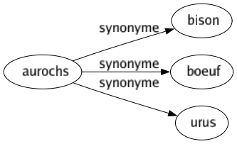 Synonyme de Aurochs : Bison Boeuf Urus 