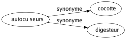 Synonyme de Autocuiseurs : Cocotte Digesteur 