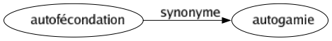 Synonyme de Autofécondation : Autogamie 