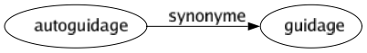 Synonyme de Autoguidage : Guidage 