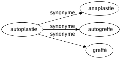 Synonyme de Autoplastie : Anaplastie Autogreffe Greffé 