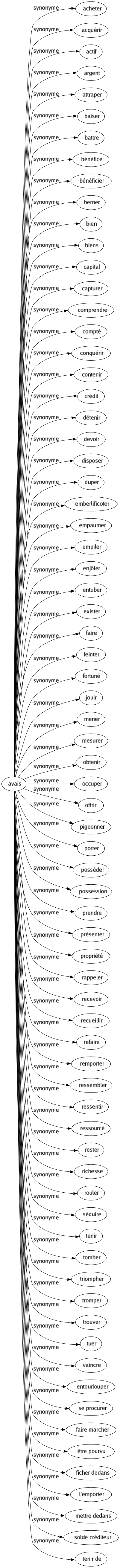 Synonyme de Avais : Acheter Acquérir Actif Argent Attraper Baiser Battre Bénéfice Bénéficier Berner Bien Biens Capital Capturer Comprendre Compté Conquérir Contenir Crédit Détenir Devoir Disposer Duper Emberlificoter Empaumer Empiler Enjôler Entuber Exister Faire Feinter Fortuné Jouir Mener Mesurer Obtenir Occuper Offrir Pigeonner Porter Posséder Possession Prendre Présenter Propriété Rappeler Recevoir Recueillir Refaire Remporter Ressembler Ressentir Ressourcé Rester Richesse Rouler Séduire Tenir Tomber Triompher Tromper Trouver Tuer Vaincre Entourlouper Se procurer Faire marcher Être pourvu Ficher dedans L'emporter Mettre dedans Solde créditeur Tenir de 