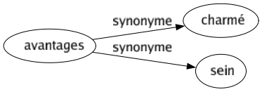 Synonyme de Avantages : Charmé Sein 