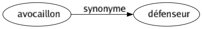 Synonyme de Avocaillon : Défenseur 