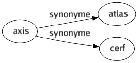 Synonyme de Axis : Atlas Cerf 