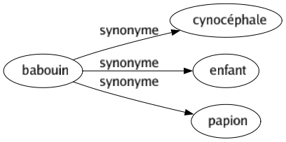 Synonyme de Babouin : Cynocéphale Enfant Papion 