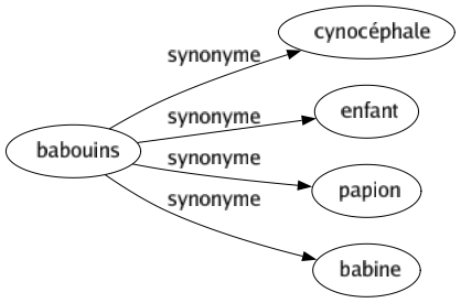 Synonyme de Babouins : Cynocéphale Enfant Papion Babine 