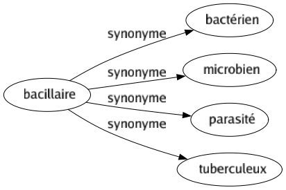 Synonyme de Bacillaire : Bactérien Microbien Parasité Tuberculeux 