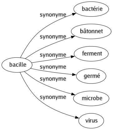 Synonyme de Bacille : Bactérie Bâtonnet Ferment Germé Microbe Virus 