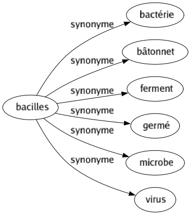 Synonyme de Bacilles : Bactérie Bâtonnet Ferment Germé Microbe Virus 