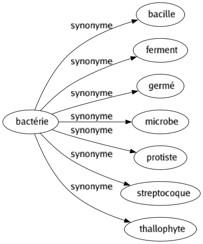 Synonyme de Bactérie : Bacille Ferment Germé Microbe Protiste Streptocoque Thallophyte 