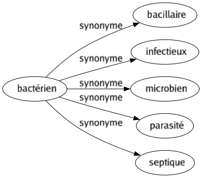 Synonyme de Bactérien : Bacillaire Infectieux Microbien Parasité Septique 