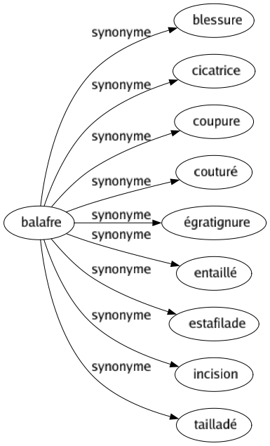 Synonyme de Balafre : Blessure Cicatrice Coupure Couturé Égratignure Entaillé Estafilade Incision Tailladé 