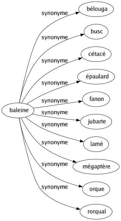 Synonyme de Baleine : Bélouga Busc Cétacé Épaulard Fanon Jubarte Lamé Mégaptère Orque Rorqual 