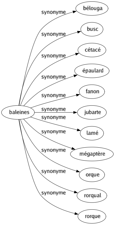 Synonyme de Baleines : Bélouga Busc Cétacé Épaulard Fanon Jubarte Lamé Mégaptère Orque Rorqual Rorque 