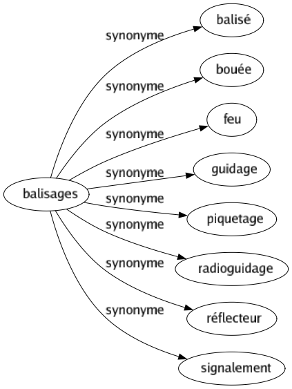 Synonyme de Balisages : Balisé Bouée Feu Guidage Piquetage Radioguidage Réflecteur Signalement 