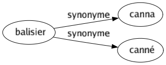 Synonyme de Balisier : Canna Canné 