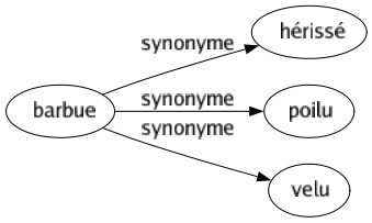 Synonyme de Barbue : Hérissé Poilu Velu 