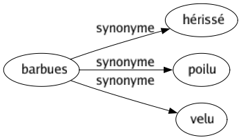 Synonyme de Barbues : Hérissé Poilu Velu 