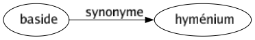 Synonyme de Baside : Hyménium 