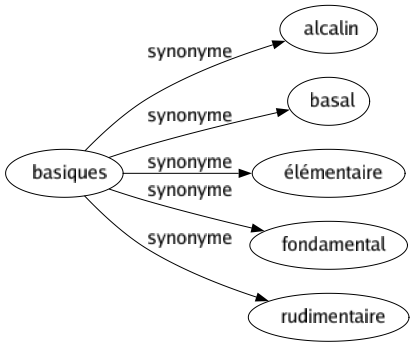 Synonyme de Basiques : Alcalin Basal Élémentaire Fondamental Rudimentaire 
