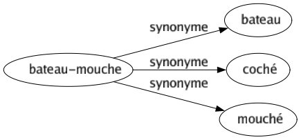 Synonyme de Bateau-mouche : Bateau Coché Mouché 