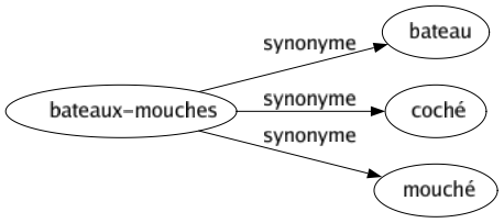 Synonyme de Bateaux-mouches : Bateau Coché Mouché 