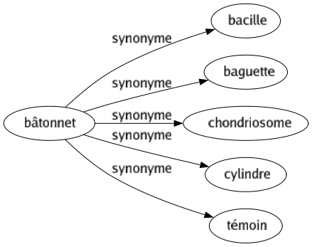 Synonyme de Bâtonnet : Bacille Baguette Chondriosome Cylindre Témoin 