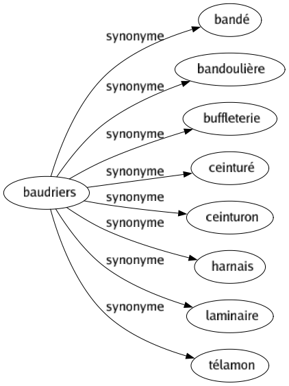 Synonyme de Baudriers : Bandé Bandoulière Buffleterie Ceinturé Ceinturon Harnais Laminaire Télamon 