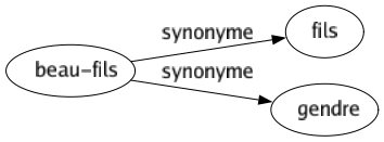 Synonyme de Beau-fils : Fils Gendre 