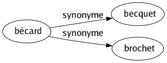 Synonyme de Bécard : Becquet Brochet 