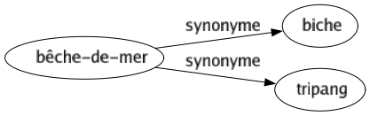 Synonyme de Bêche-de-mer : Biche Tripang 