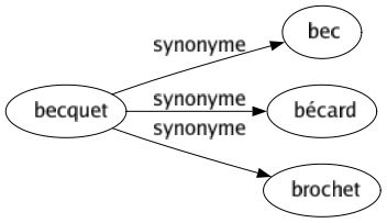 Synonyme de Becquet : Bec Bécard Brochet 