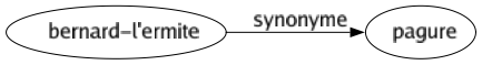 Synonyme de Bernard-l'ermite : Pagure 