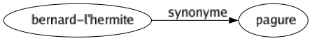 Synonyme de Bernard-l'hermite : Pagure 