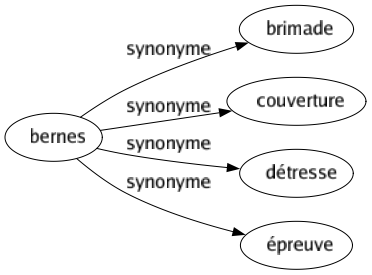 Synonyme de Bernes : Brimade Couverture Détresse Épreuve 