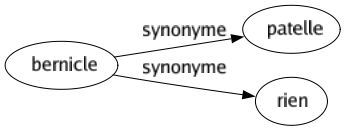 Synonyme de Bernicle : Patelle Rien 