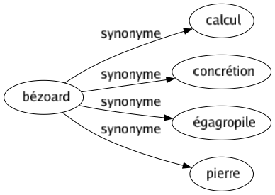 Synonyme de Bézoard : Calcul Concrétion Égagropile Pierre 